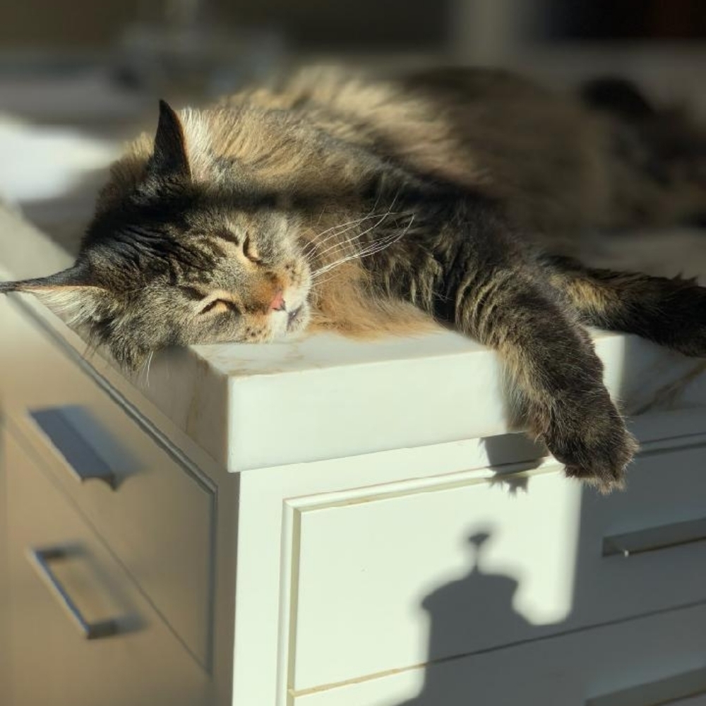 Naps are good